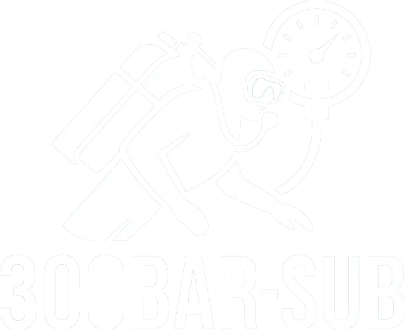 logo 300bar-sub blanco